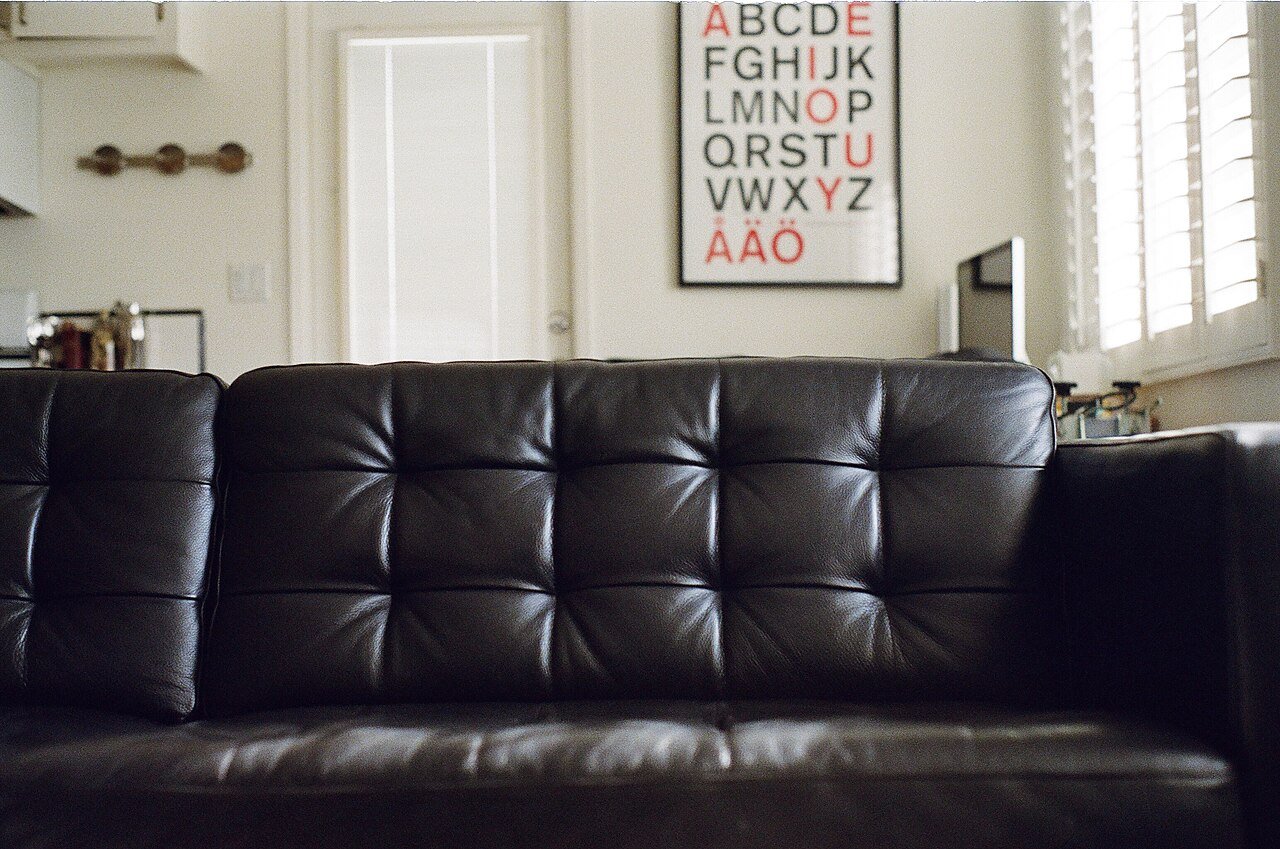 An upholstered couch — secondhand upholstery is a top bed bug introduction route