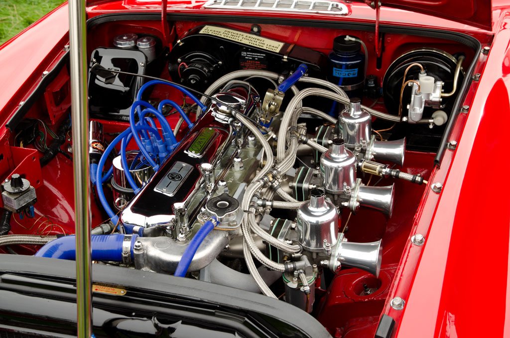 An engine bay — warm after every drive, sheltered, and full of soft insulation: a parked car is a heated mouse condo