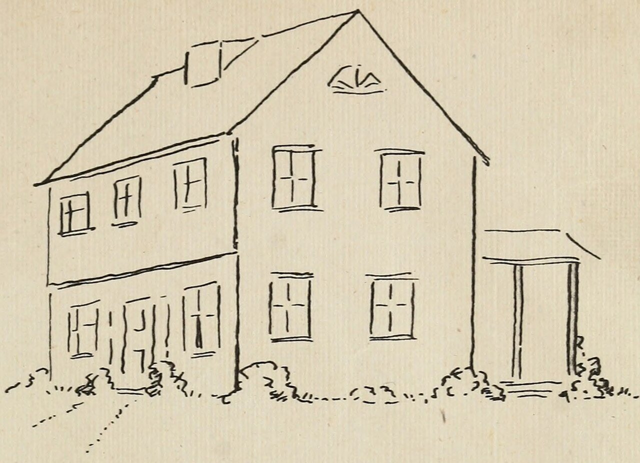 The classic gray-brown house mouse — dusty gray above, lighter below, with the nearly bare tail that separates it from wild lookalikes