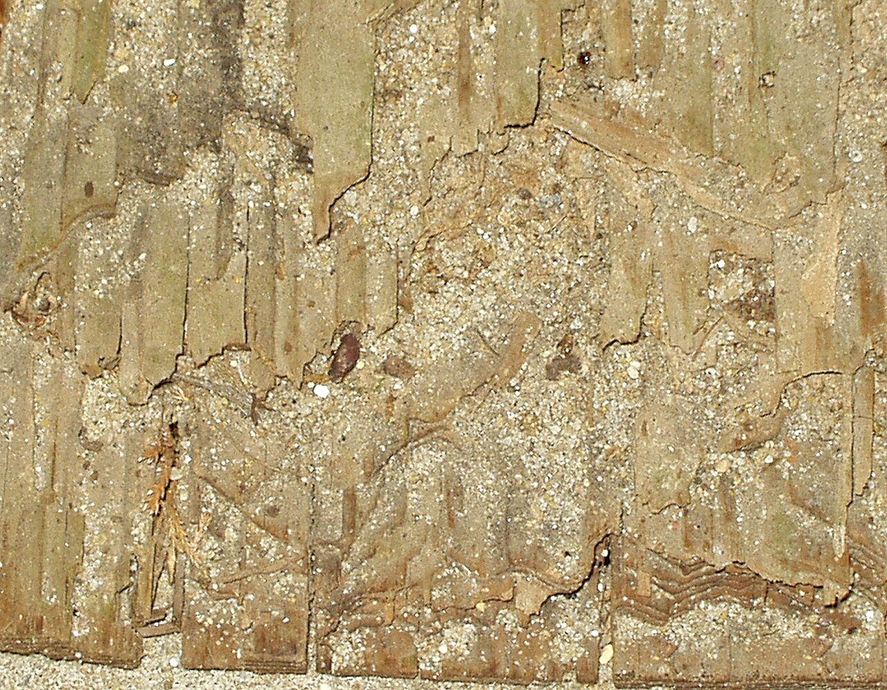 Termite damaged wood showing grain-following galleries packed with mud